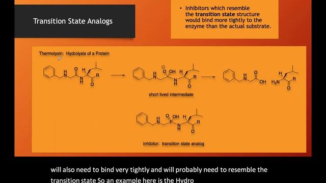 Transition State Analogs as Enzyme Inhibitors смотреть онлайн