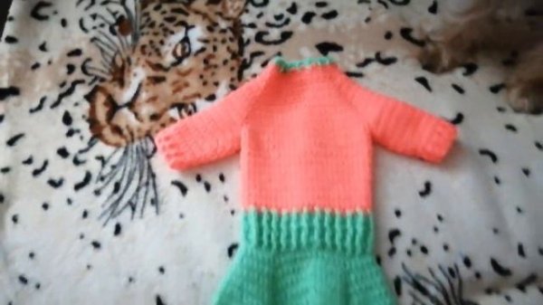 VLOG: Связала костюмчик для йорка