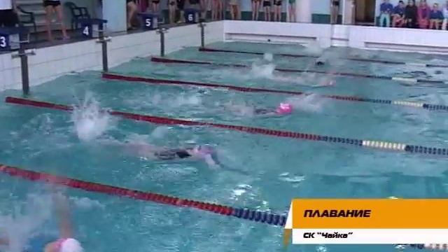 Соревнования по плаванию смотреть онлайн