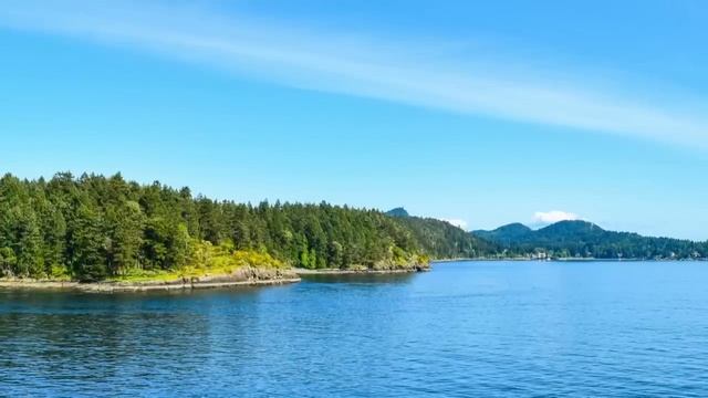 Найдя идеального мужчину, Мила оказалась в аду в тирана, но не побоявшись, отомстила... смотреть онлайн