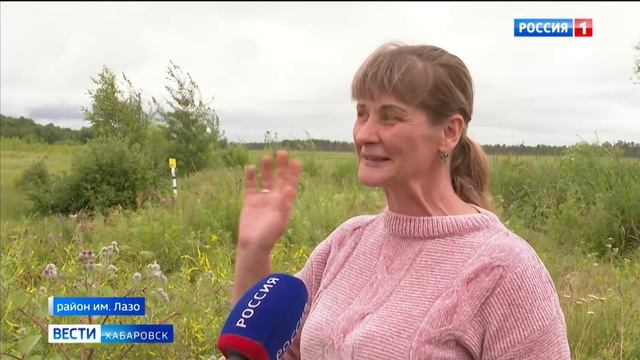 «Объедение с картошечкой»: в Хабаровском крае начался грибной сезон смотреть онлайн