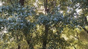 ПОРВАЛАСЬ ЦЕПОЧКА С КРЕСТИКОМ... ЧТО ЭТО ЗНАЧИТ. народные приметы и поверья