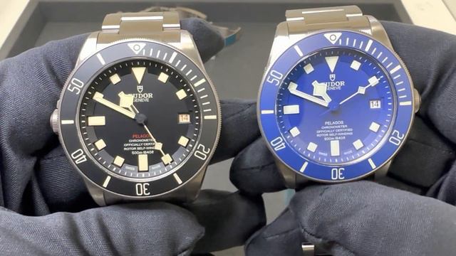 Which Tudor Pelagos?