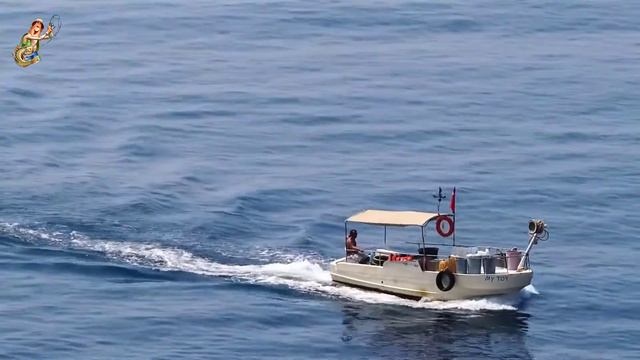 Top 5 Best Garmin Fish Finder Review | Garmin Fish Finder Buying Guide смотреть онлайн