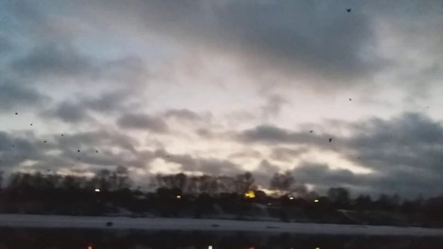 Армагедон почему птицы улетают? смотреть онлайн