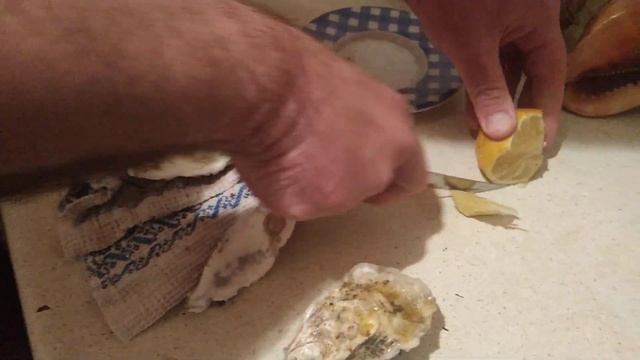 Морская кухня. Готовим Устрицы смотреть онлайн