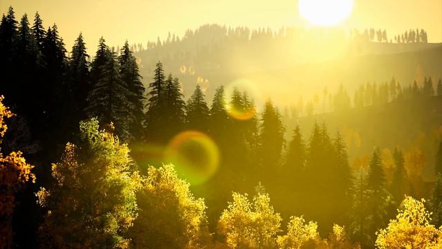 Piano Concentration Music 🌿 Classical music for Studying, Soothing Music, Piano Sleeping смотреть онлайн