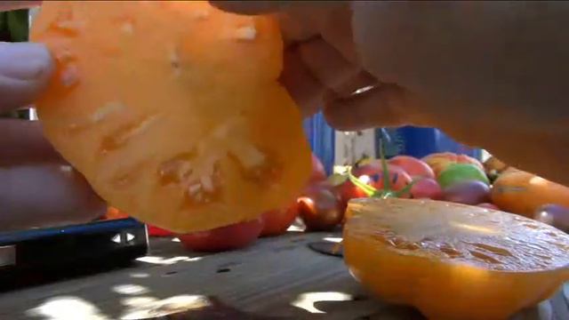 ⟹ Kellogg’s Breakfast Tomato, Solanum Lycopersicum, Tomato Review