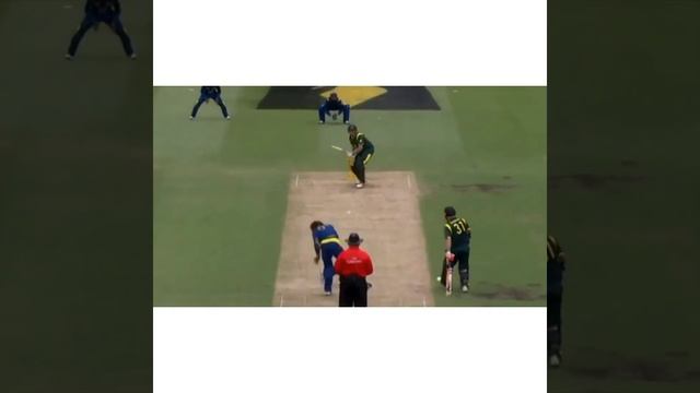 brutal bouncers #bouncer #cricket смотреть онлайн