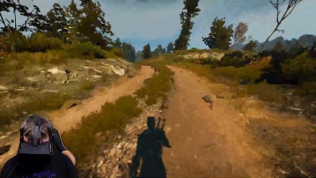 THE WITCHER 3 IN FIRST PERSON IN VR смотреть онлайн