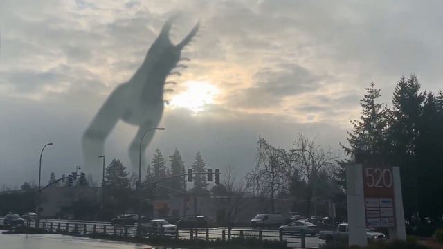 The bird watcher in real life смотреть онлайн