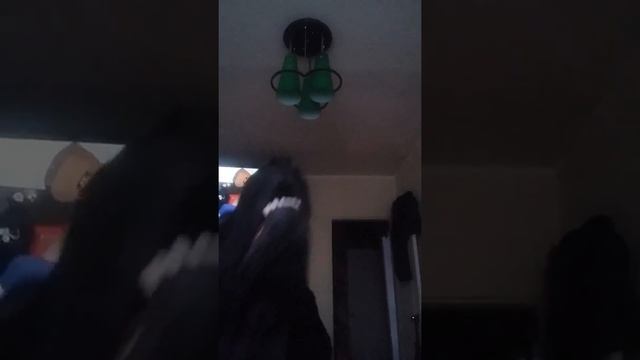 Собака на хочет лаять смотреть онлайн