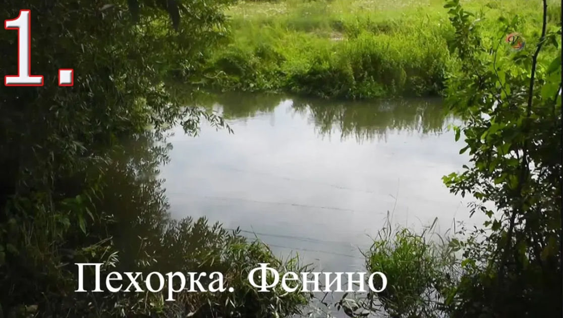 1.Рыбалка на реке Пехорка. Фенино, Ловля на боковой Кивок, Поплавок. Подводная съёмка. Подмосковье смотреть онлайн