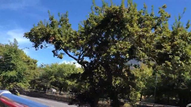 Африка.ЮАР.Кейптаун.На автобусе мимо Столовой Горы,Пика Дьявола и головы Льва.Февраль2018 смотреть онлайн