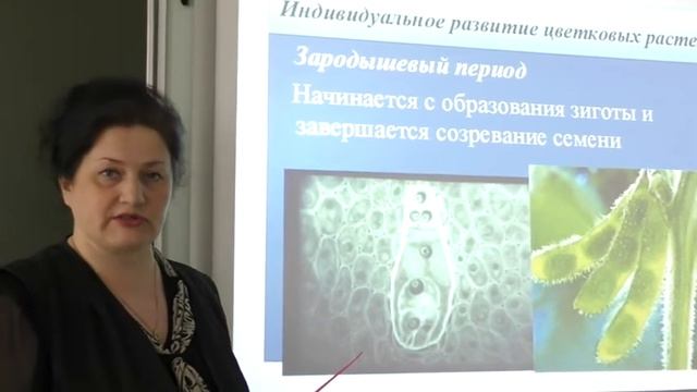 Биология 6 класс - Рост и развитие растений смотреть онлайн