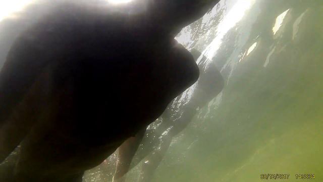 МОРЕ EXTRIMA I ДАЙВИНГ I ПРЫЖКИ В ВОДУ I СКАЛЫ смотреть онлайн