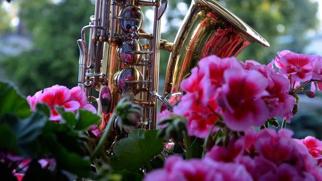 Romantic Saxophone  Golden Saxophone  Black Orpheus (31)АК SAX MUSIC
