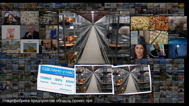 В Пензенской области открыта птицефабрика яичного направления смотреть онлайн