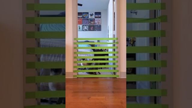 А что так можно было смотреть онлайн