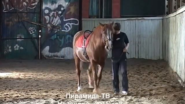 Проект Лёгкий шаг Назарово