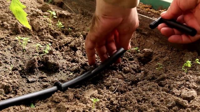 Капельный полив ЖУК - инструкция по сборке на участке смотреть онлайн