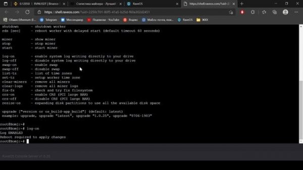 Rave Os. Просмотр логов T-Rex, GMiner, Kawpow miner и других