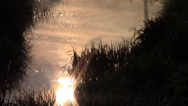 00095 смотреть онлайн