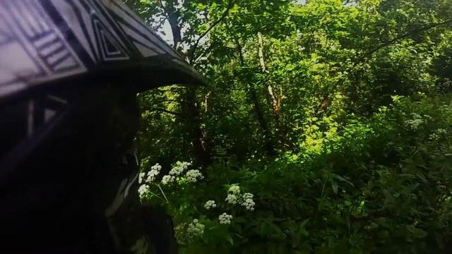 Motocross in the Russian forest (Питбайк Virus X2 а лесу) смотреть онлайн