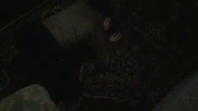 смотреть до конца смешно.... хахаха порода хаски смотреть онлайн