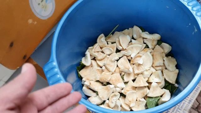 Кулинарная студия с Алиной