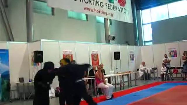 ХОРТИНГ. Чемпионат северного региона Украины. 18-19 мая 2013 года смотреть онлайн