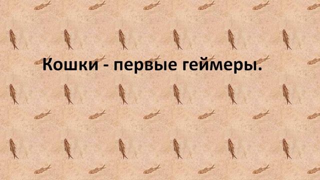 АНЕКДОТ ПРО КОШЕК! смотреть онлайн