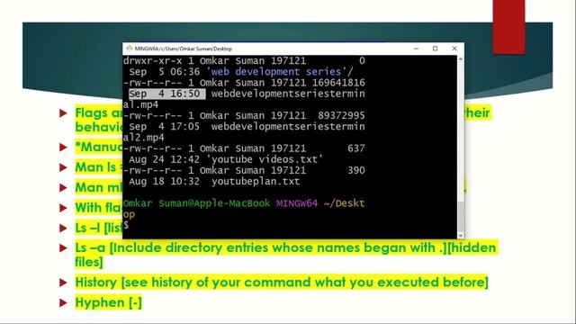 Demystifying Flags in Git Bash Terminal In Hindi: Everything You Need to Know(lec-8) смотреть онлайн