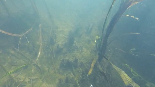 Подводная охота для души Река юношества Россошанский район смотреть онлайн