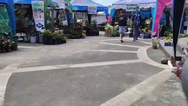 City of Sto. Tomas Batangas - Plant Exhibit vlog#2 смотреть онлайн