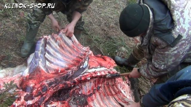Разделка лося ножами и топором Сёмина Ю.М. Часть 3 смотреть онлайн