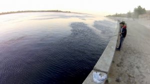 Селедка на Волге идёт