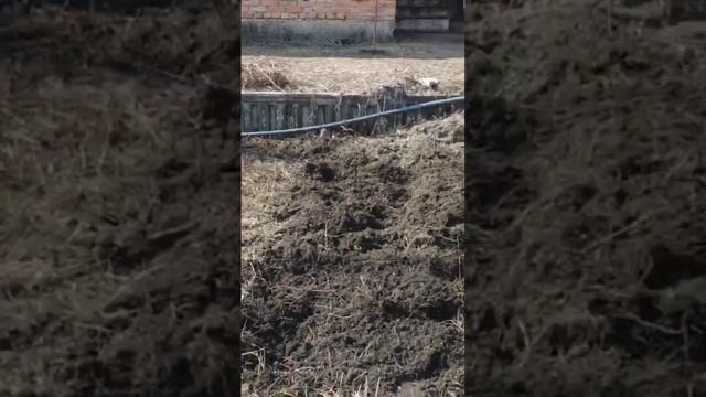 обзор мотоблока кентавр смотреть онлайн