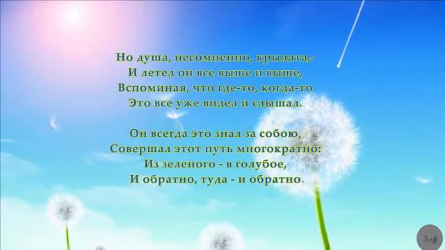 Венок из одуванчиков смотреть онлайн