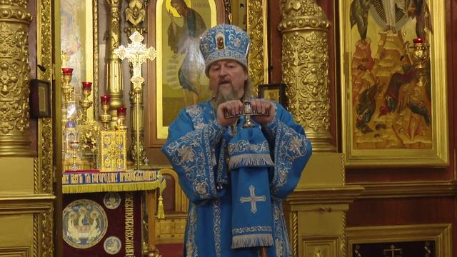 Проповедь митрополита Иоанна в день памяти иконы Божией Матери "Знамение" смотреть онлайн
