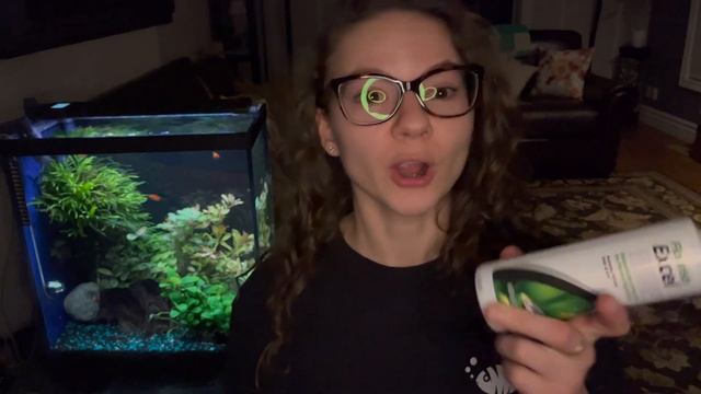 How to Kill Black-Bearded Algae in 2-Days? смотреть онлайн