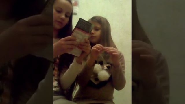 Японский клён. Следуем по инструкции. Настоящее дерево смотреть онлайн