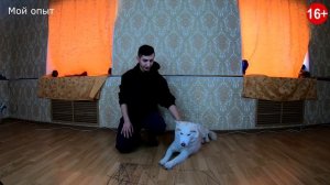 КАК ОТУЧИТЬ ЩЕНКА КУСАТЬСЯ / ЩЕНОК КУСАЕТ ЗА РУКИ И НОГИ