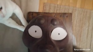 ЧЕЛЛЕНДЖ: Создание бюджетного фурсьюта. Часть 2.