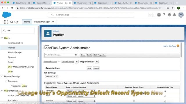 BoonPlus: Clone with Products by Object, Record Type and Fields смотреть онлайн
