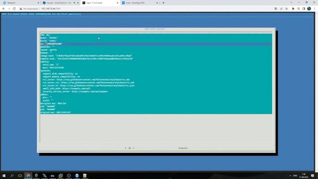XPEnology real Serial number + Mac смотреть онлайн