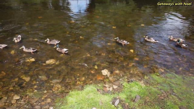 Milnthorpe, Cumbria, UK смотреть онлайн