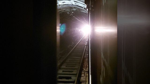 Прибытие метропоезда на станцию Петроградская, Санкт-Петербург