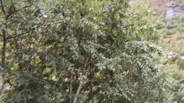 Норвегия. Olden. Oldedalen. 2021/7