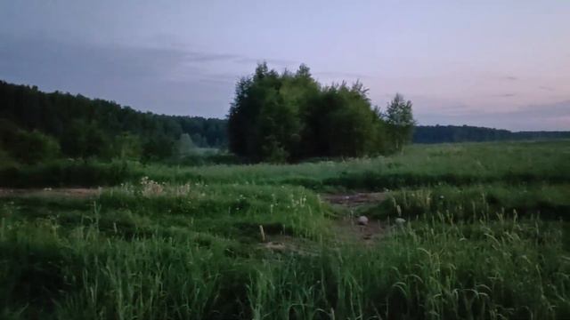 Звуки природы смотреть онлайн
